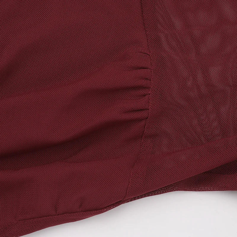 See Through Mesh Sexy Maxi Dress