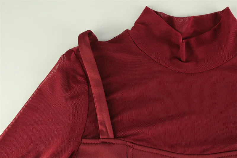 Sexy Women's Burgundy Mini Dress Luxury Turtleneck Transparent Long Sleeve A-line Short Dresses Evening Party Prom Cocktai New