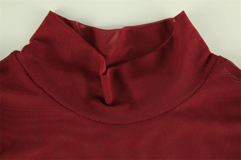 Sexy Women's Burgundy Mini Dress Luxury Turtleneck Transparent Long Sleeve A-line Short Dresses Evening Party Prom Cocktai New