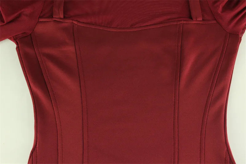 Sexy Women's Burgundy Mini Dress Luxury Turtleneck Transparent Long Sleeve A-line Short Dresses Evening Party Prom Cocktai New