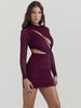 O Neck Sheer Long Sleeve Bodycon Dress