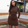 Sleeve Turtleneck Dress