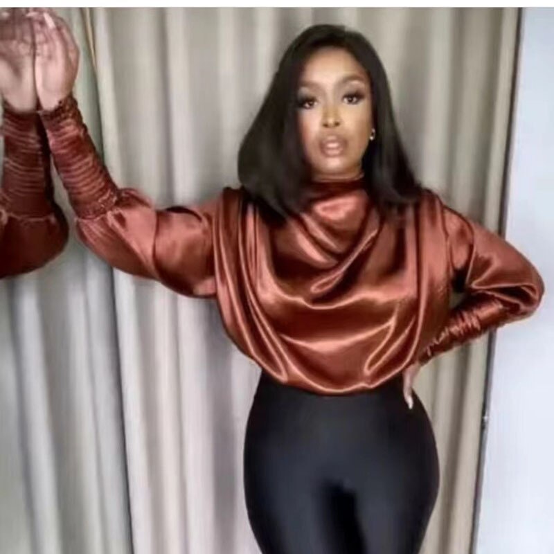 Turtleneck Blouse Sleeve
