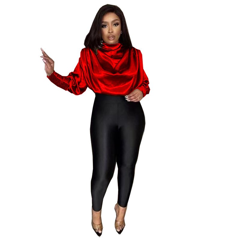 Turtleneck Blouse Sleeve