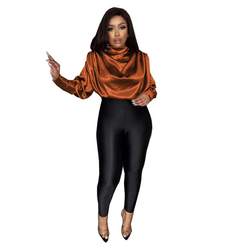 Turtleneck Blouse Sleeve